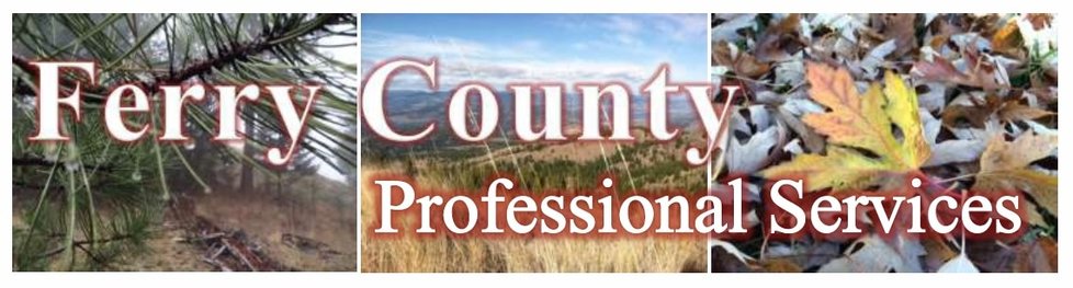 Ferry County Professional Services